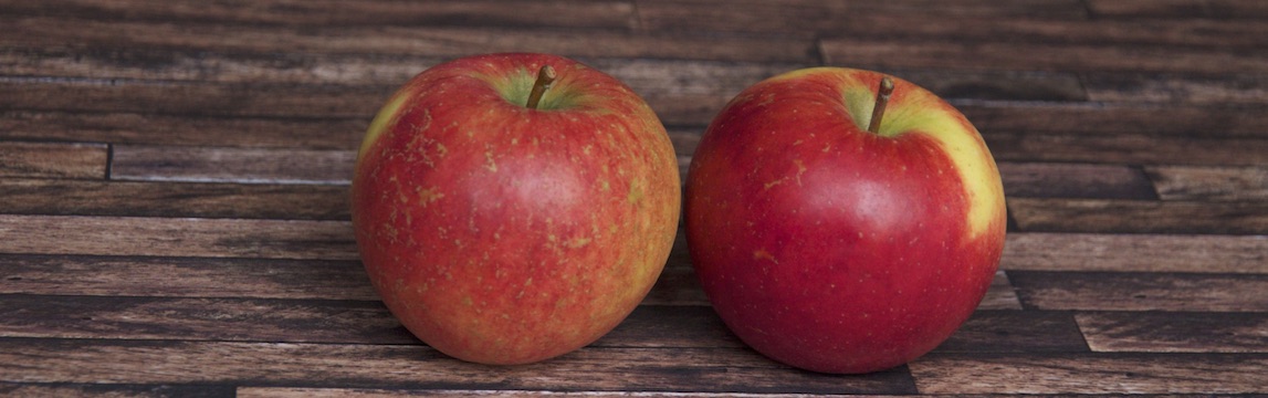 Apfelsorte Antaris von Elbe-Obst aus dem Alten Land