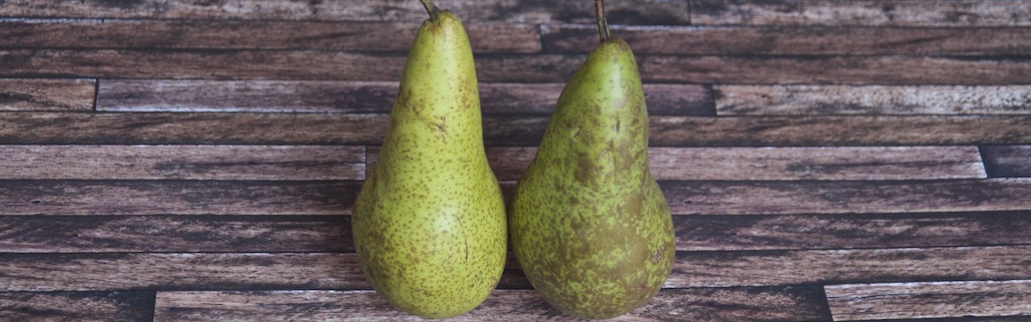 Birnensorte Conference von Elbe-Obst aus dem Alten Land