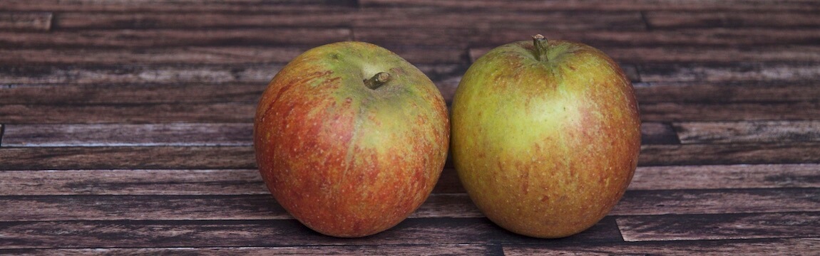 Apfelsorte Cox Orange von Elbe-Obst aus dem Alten Land