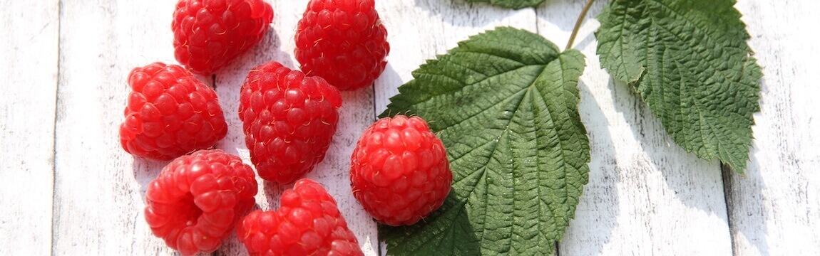 Himbeeren von Elbe-Obst aus dem Alten Land